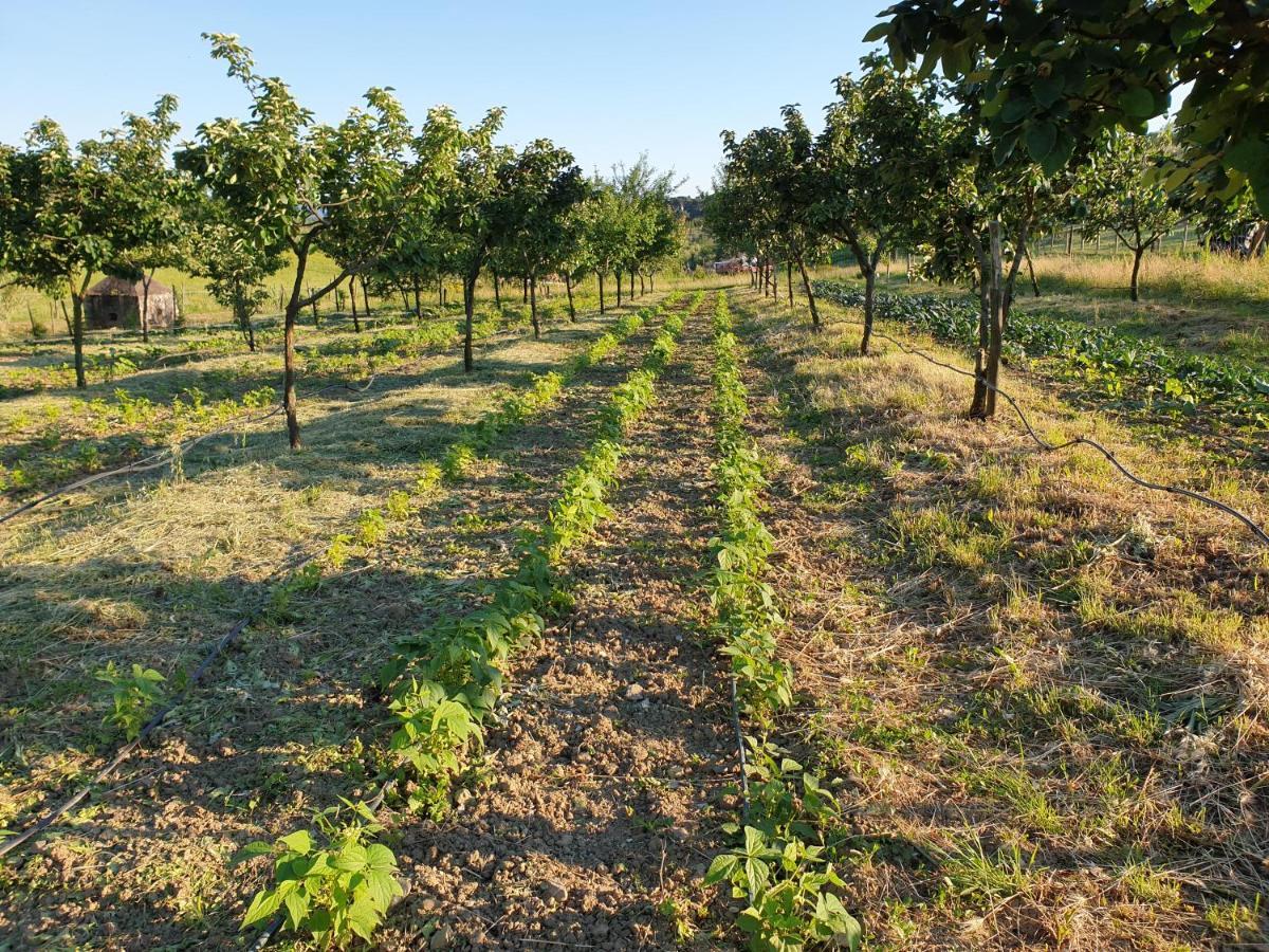 Fattoria Di Maiano Guest House Fiesole Exterior photo