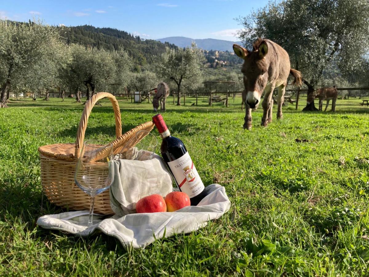 Fattoria Di Maiano Guest House Fiesole Exterior photo