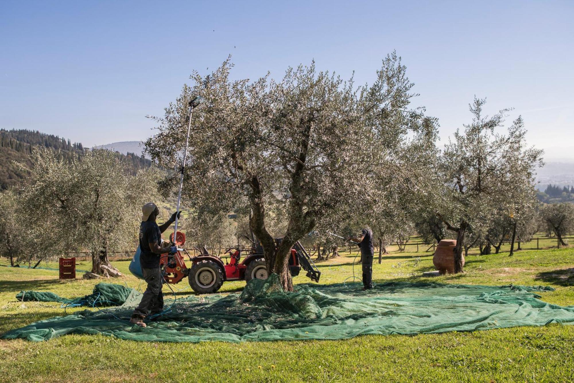 Fattoria Di Maiano Guest House Fiesole Exterior photo